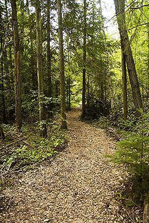 Bear Creek Exotic Wildlife Sanctuary